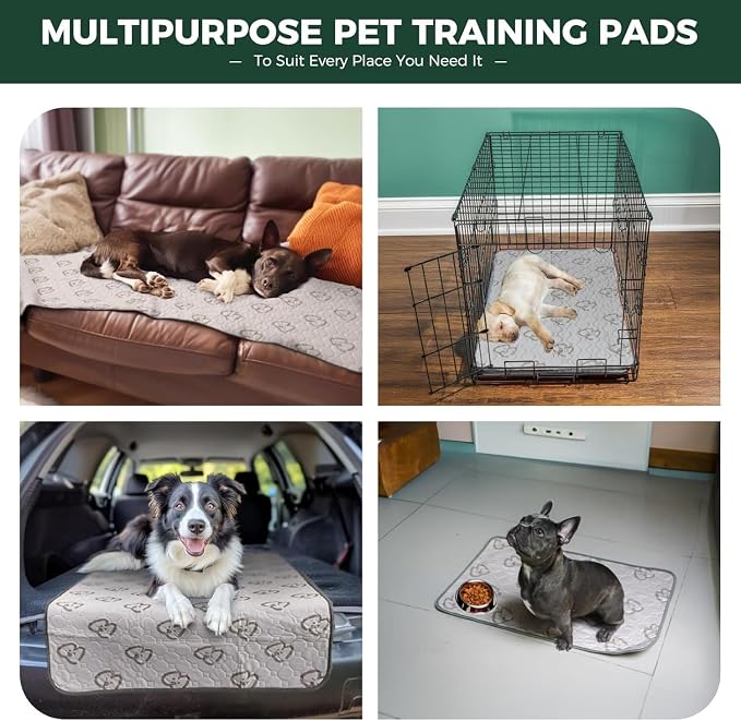 FXW Washable Pee Pads for Dogs, Leak-Proof & Non-Slip, Specifically Designed for 48inch Cages, 29" x 47" Rectangle, Khaki, 1 Pack