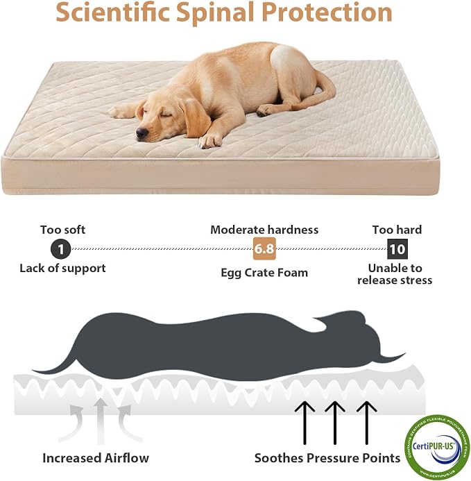 WNPETHOME Orthopedic Giant Dog Beds Large Sized Dog, Waterproof Extra Large Dogs Bed with Removable Washable Cover, Multi-Needle Quilting Dogs Crate Bed