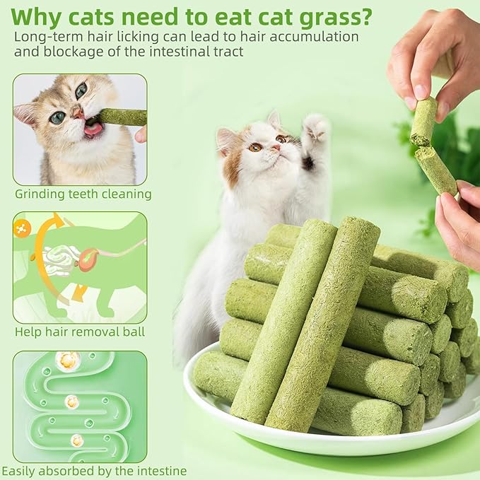 Cat Natural Grass Teething Sticks 100g, Kitten Chew Stick for Hairball Removal, Dental Care, Increase Appetite, Catnip Toys Cat Nip Treat Toys Edible Kitty Toys for Indoor Kittens (Medium, catnip)