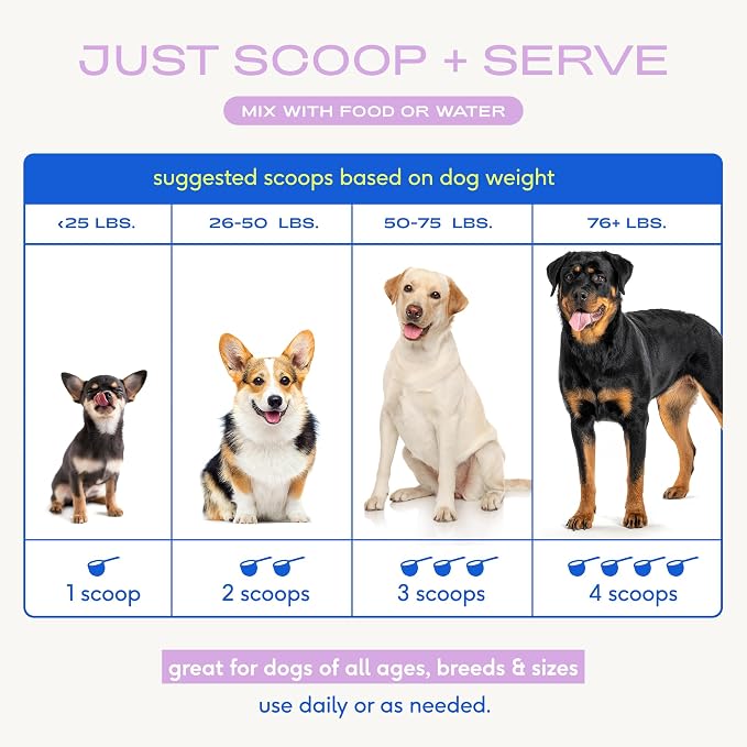Native Pet Goat Milk Powder - Dog Food Topper for Active Dogs - Post-Activity Recovery, Energy, Immune Support, Hydration & Bone Health - Whole Goat Milk with MCTs & Essential Minerals - 60 Scoops