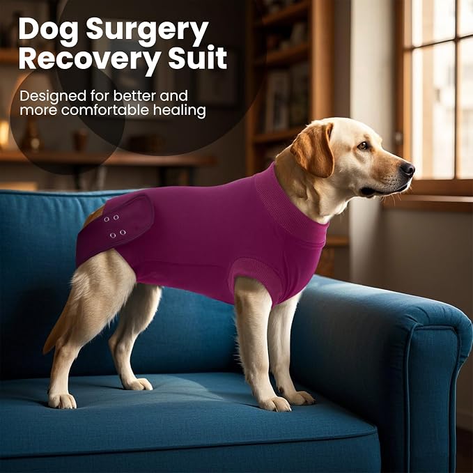 IDOMIK Dog Recovery Suit for Female Spay - Adjustable Anti-Licking Dog Post Surgery Onesie, Male Female Dogs Neuter Spay Suits, Soft Abdominal Wound Bandage & E-Collar Cone Alternative