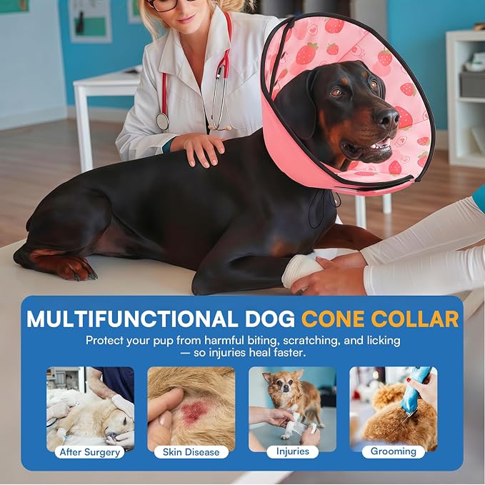 Queenmore Dog Cone, Dog Cones for Small Dogs, Adjustable Soft Cone for Dogs Recovery Collars & Cones, Comfortable Pet Cone After Surgery for Wound Healing, Strawberry S