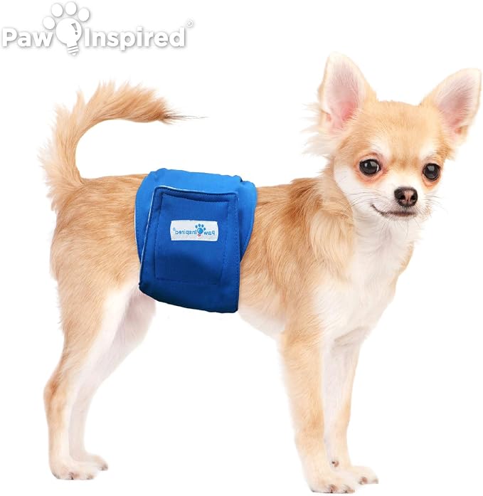 Paw Inspired Belly Band Male Dog WRAP Washable, Black Lining, X-Small, 3 Count