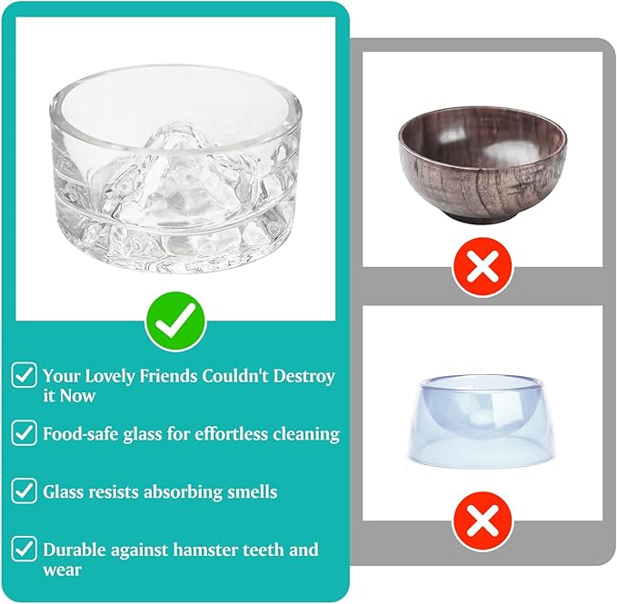 BNOSDM Rabbit Grinding Claw Pads Natural Hamster Lava Stone and Transparent Hamster Food and Water Bowl Mountain Fuji Style Glass for Hamsters Gerbils Mice Rats or Other Similar-Sized Pets