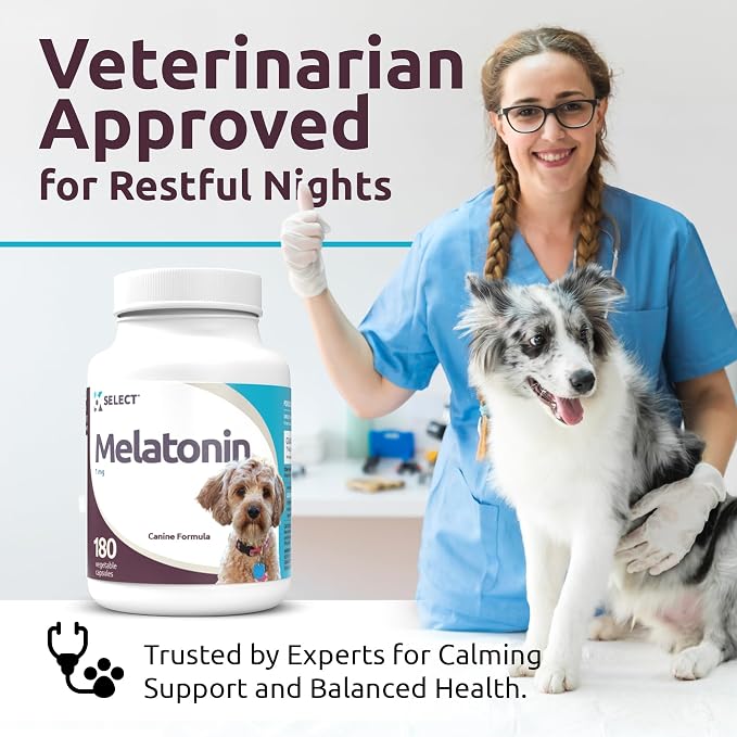 K9 Select Melatonin for Dogs - Calming Aid Tasty Dog Supplement - Helps Overall Health with Quiet Moments and Composure - Reduce Stress Calming Treats for Small Dogs - 1 mg, 180 Vegetable Capsules