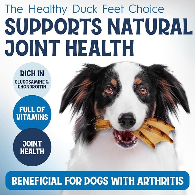 Premium Duck Feet for Dogs - Natural Dehydrated Treats - Whole Poultry Digestible Chews - for Pets (50 Count)