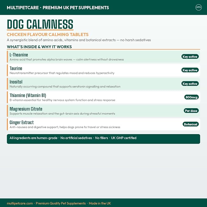Calming Chews for Dogs – Daily Anxiety & Hyperactivity Support | L-Theanine, Taurine, Magnesium & Ginger | For Separation, Storms, Fireworks & Travel | Chicken Flavor Tablets | UK GMP | 120 Ct