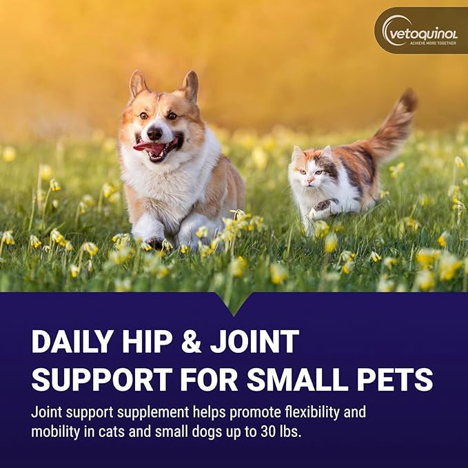 Vetoquinol Flexadin Plus - Hip & Joint Support for Cats & Small Dogs - Flexibility & Cartilage Support - Aids with Pet Mobility - Green-Lipped Mussel & Vitamin E - for Pets Up to 30 lbs - 90 Chews
