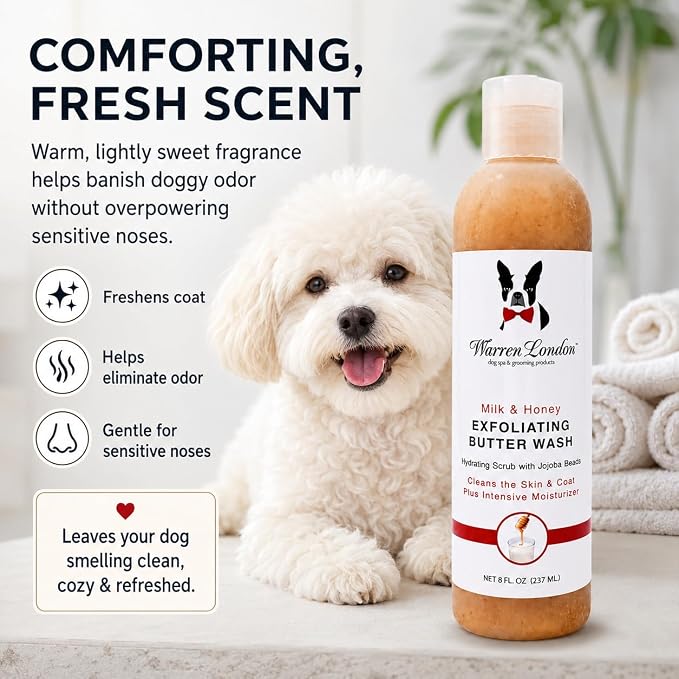 Warren London Exfoliating Butter Wash – Milk & Honey Dog Shampoo, 1-Gallon Pro Size | Cleans, Exfoliates & Deep-Conditions | Jojoba Beads Remove Dandruff & Itch | Dilutable, Non-Oily Shine | USA Made