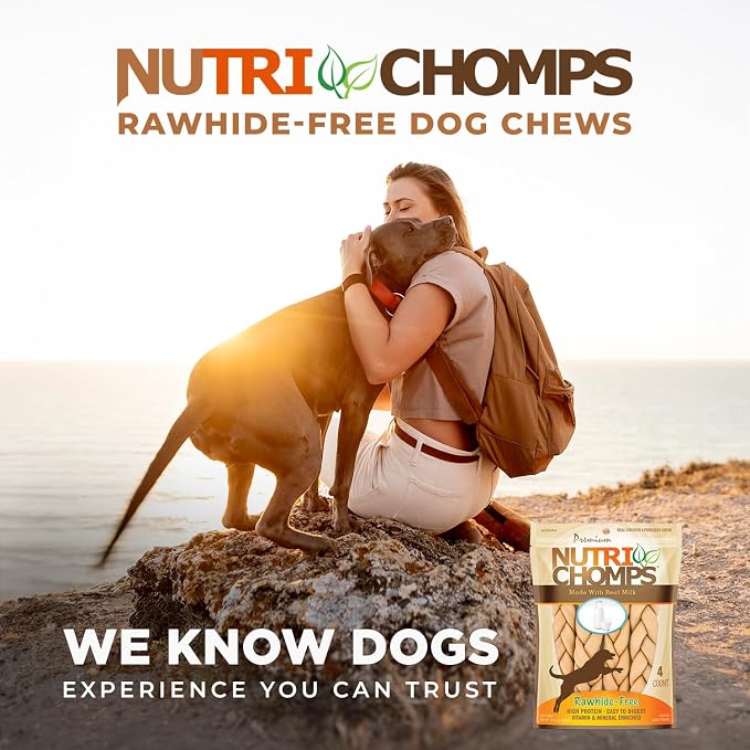 NutriChomps 9-inch Braid, Rawhide-Free Dog Treats, Easy to Digest, Healthy, 4 Count Milk