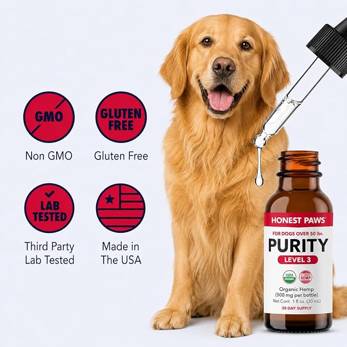 Honest Paws Hemp Oil for Dogs - Natural Hemp Seed Oil Drops Rich in Omega 3 6 9 - May Help Support Calm Behavior, Physical Comfort & Overall Wellness - Made in USA