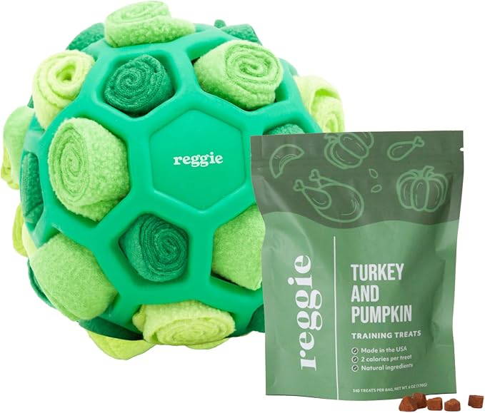 Reggie Dog Training Treats with Enrichment Toy | Turkey & Pumpkin Dog Treats + Forager Ball | Low-Calorie High-Protein Rewards | Mental Stimulation for Dogs | 340 Treats