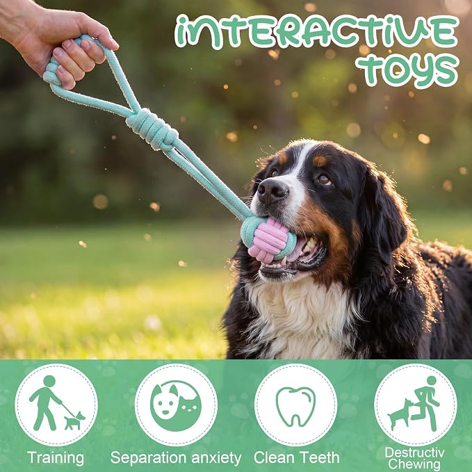 Leitee 16 Pcs Puppy Toys for Teething Dog Chew Toys for Small Dogs Soft Interactive Squeaky Plush Balls Doggy Teeth Tug of War and Rope for Small Dogs Puppy (Cute,Lemon Green,Pink)