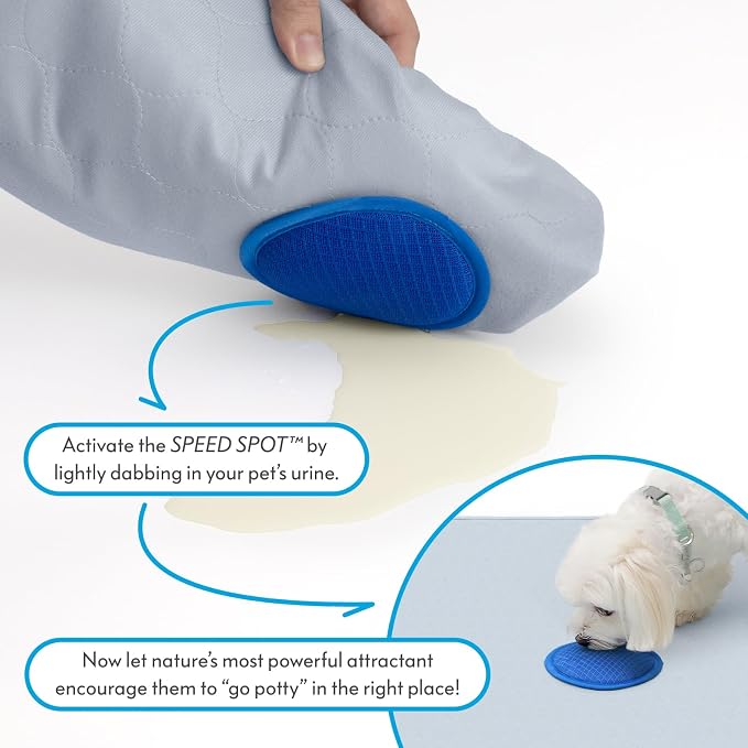 2ct Paw Inspired Speed Spot Go Here Potty Training Puppy Pads with Pop Up Urine Attractant Target | Washable, Reusable Dog Pee Pads with Pheromone Scent Patch for Housebreaking (36x36 Inch Size)