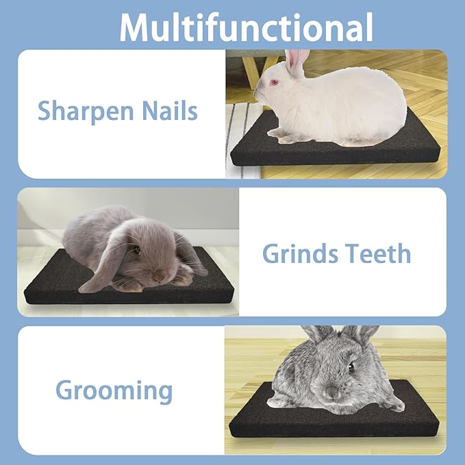 BNOSDM Rabbit Grinding Claw Pads Natural Hamster Lava Stone and Hamster Food and Water Bowl Mountain Fuji Style Glass for Hamsters Gerbils Mice Rats or Other Similar-Sized Pets