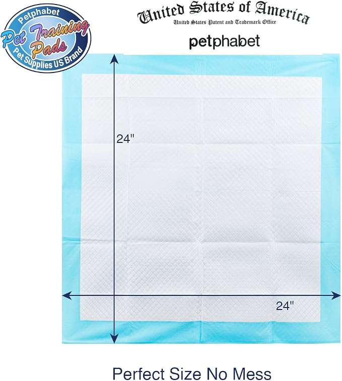 Petfamily Super-Absorbent 24 by 24 Inches Dog Training Pads - 100 Count of Pads