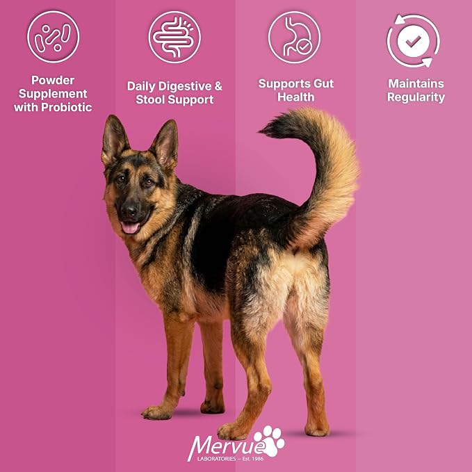 Mervue Stool Fiber for Dogs – Psyllium Husk Powder for Dogs that Boost Firm Stools – Large Dog Digestive Support with Live Probiotics and B-Vitamins for Sensitive Stomach Ease – 21-Pack, 20g Each