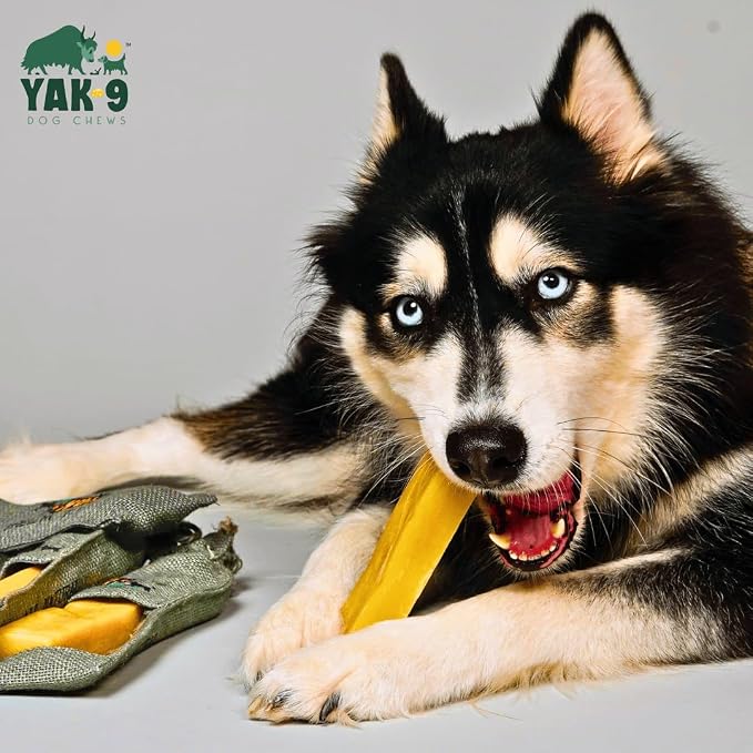 Yak9 Cheese Dog Chews, High Protein Treats, Natural, Rawhide Free, Long Lasting with Vitamins & Minerals, Extra Small Size, Yak & Cow, 8 PC, 1lb