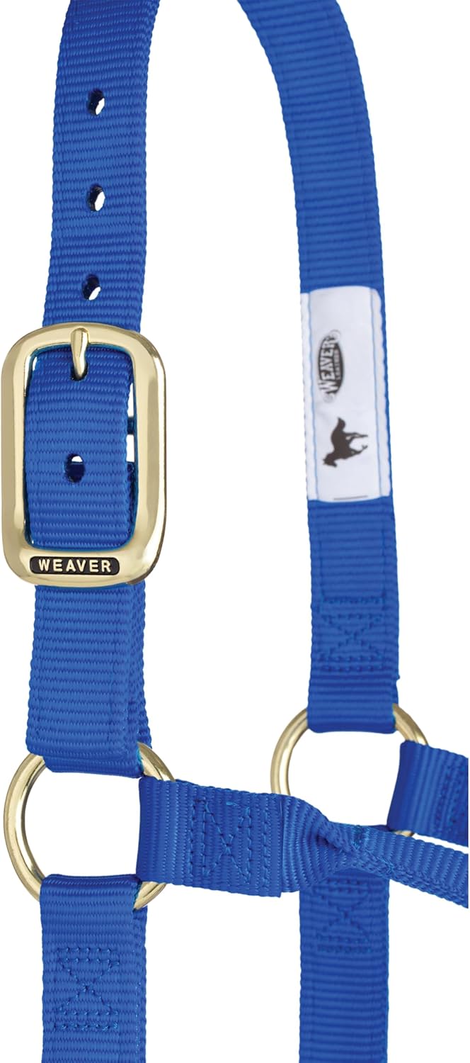 Weaver Equine Nylon Horse Halter, Triple-Ply Cheek Design, Original Non Adjustable Halters for Horses, Equine Tack,Average Size, Black