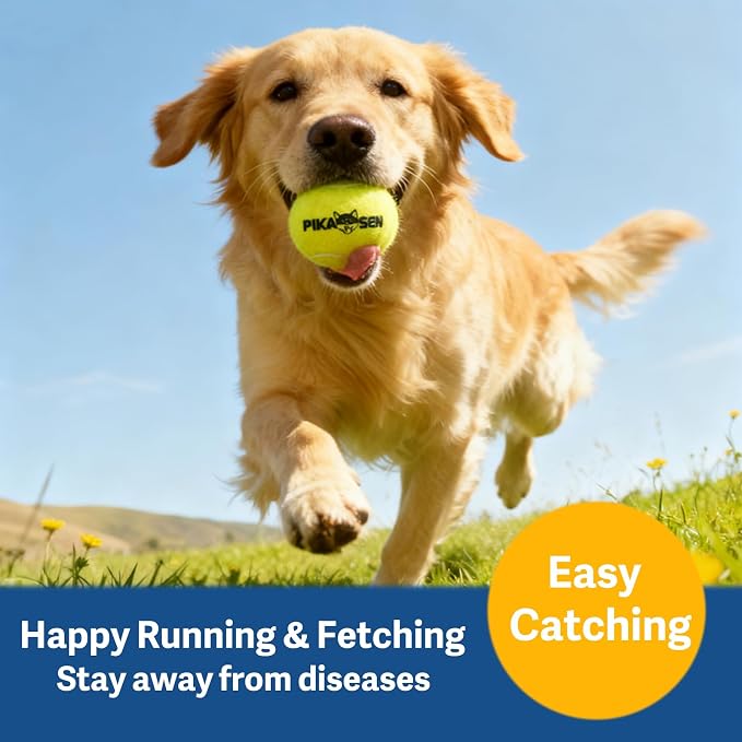 Dog Squeaky Tennis Balls for Pet Playing in 3 Sizes Premium Strong Dog & Puppy Balls for Training, Play, Exercise the Easiest Color for Dogs Red Yellow Blue (Medium-12pack)