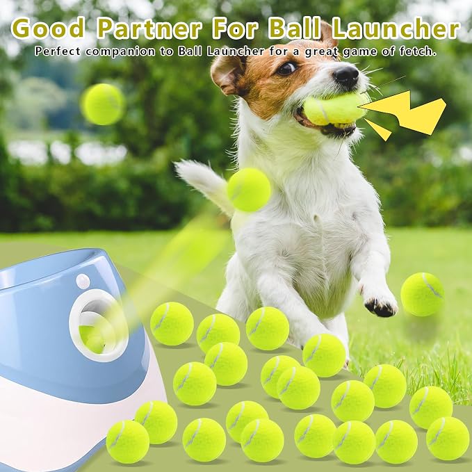 Magicorange Dog Tennis Balls, 40 Pack 2.5 inch Floatable Squeaky Tennis Balls for Fetch Exercise, Natural Rubber Squeaky Dog Balls Training Safe (Multicolor, 40 Pack)