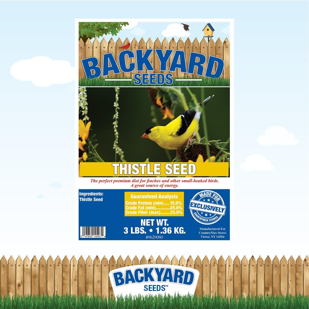 Nyjer Thistle Seed (3)