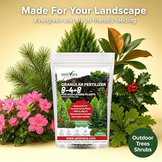 ASTEVORA Evergreen Fertilizer – All-Purpose Granular Plant Food for Outdoor Trees and Shrubs, Azaleas, Magnolias, Pines & Arborvitae – Slow-Release Formula (4 quarts)