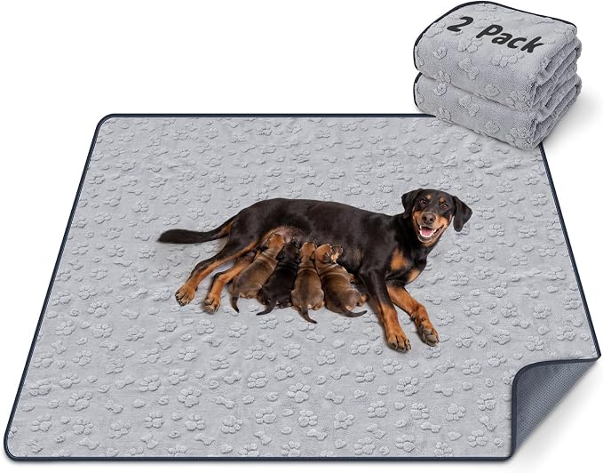 LOOBANI 2 Packs Extra Large Washable Pee Pads for Dogs 54"x54", Non-Slip Reusable Dog Mat, Super Absorbent Whelping Pads, Leak-Proof Dog Playpen Mat for Floor, Bed, Incontinence, Housebreak,Gray