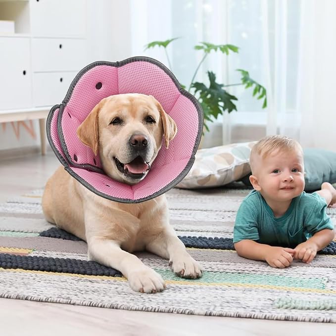 Dog Cone Collar After Surgery,Soft Dog Recovery Collar to Stop Licking Wounds,Adjustable Comfortable Light-Weight Elizabethan Collar for Dogs Anti-Bite Lick Protective Wound,Pink,M