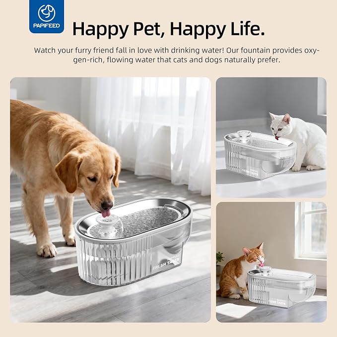 PAPIFEED Cat Water Fountain Stainless Steel, 84oz/2.5L Automatic Cat Water Fountain with Visible Water Level, Ultra Quiet Low Power Cat Water Bowl & Cat Water Dispenser (White)