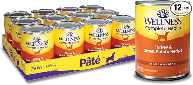 Wellness Complete Health Pate Adult Canned Wet Dog Food, Wholesome Grains, Natural, Turkey and Sweet Potato, 12.5 oz, Pack of 12 Cans