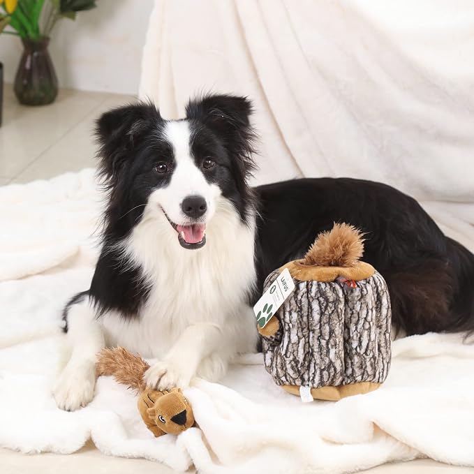 Laifug Hidden Squirrel Plush Dog Toy， Interactive Squeaky Dog Toy Hide and Seek, L