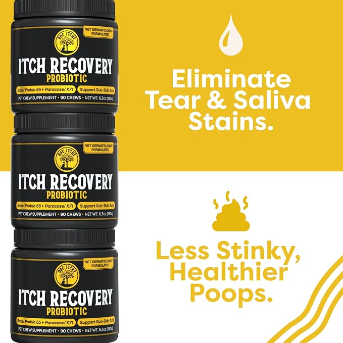 Doc Itchy: Itch Recovery Dog Probiotic Chews | L Sakei & L Paracasei | Targets Itchy Skin, Ears & Paws | Supports Yeast Balance & Gut Health | Clinical-Strength | 90 Count