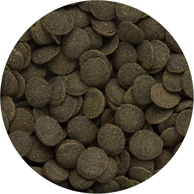 Hikari Tropical Mini Algae Wafers Fish Food, 2.2 lb (1kg)