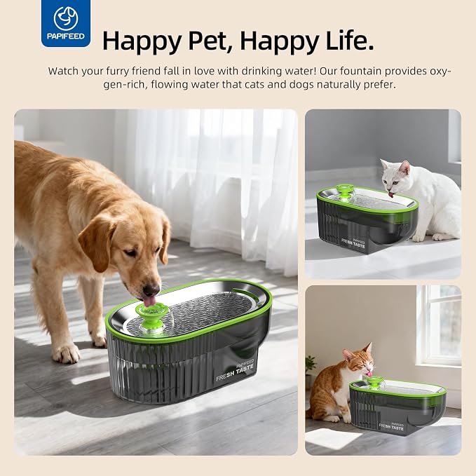 PAPIFEED Cat Water Fountain Stainless Steel with a Silicone Mat, 84oz/2.5L Automatic Pet Water Fountain with LED Water Level Window, Quiet Low Power Cat Water Bowl & Cat Water Dispenser (Green)