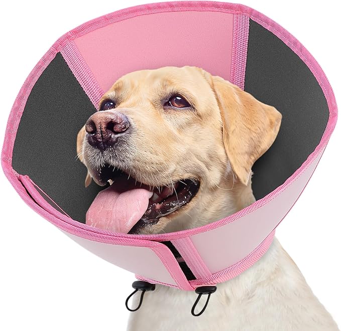 Queenmore Dog Cones for Large Dogs, Cone for Dogs to Stop Licking After Surgery, Adjustable Waterproof Dog Cone Collar Alternative, Comfortable Pet Recovery E-Collar (Light Pink,L)