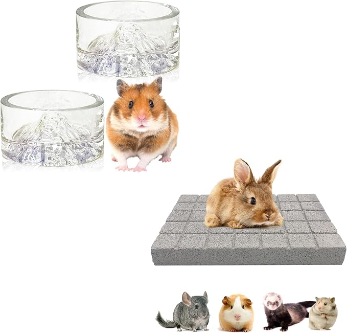 BNOSDM 2Pcs Hamster Food and Water Bowl Mountain Fuji Style Glass Drinking and Rabbit Grinding Claw Pads Natural Hamster Lava Stone Teeth Grinding Scratching Pad Chew Toy for Hamsters Gerbils Mice