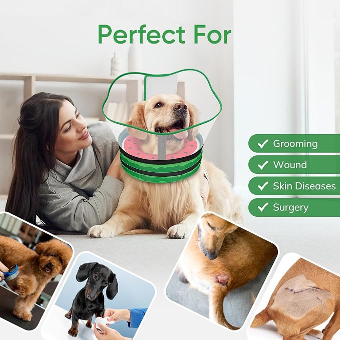 Sponge Dog Cone Collar, Dog Recovery Collar Alternative with Detachable High Clear Shield, Adjustable Soft Neck Cone for Small Medium Large Dogs, Stop Licking After Surgery (Watermelon,L)
