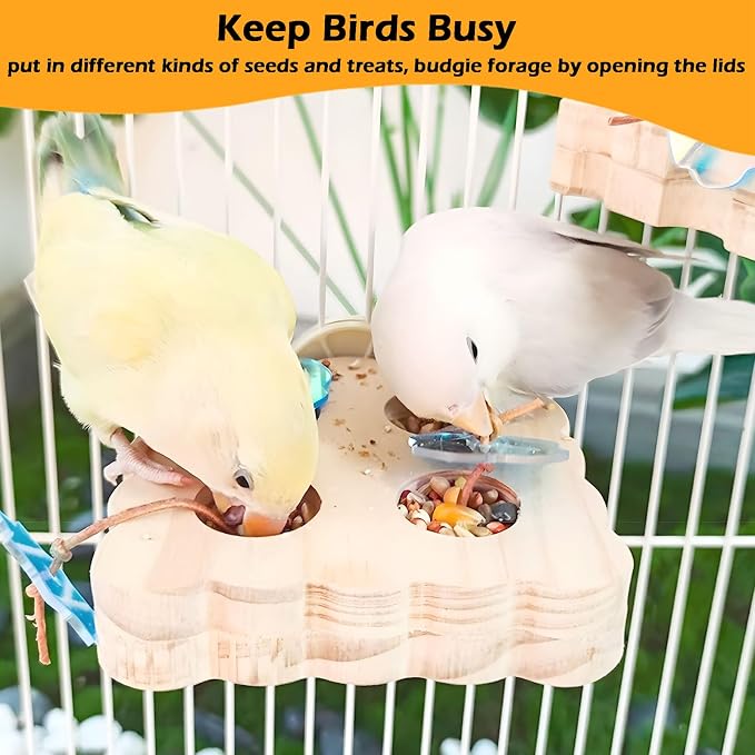 Small Pet Activity Set - 2pc Wooden Bird Foraging Toys and 3pc Sugar Glider Climbing Ropes for Cage Enrichment Green Blue Yellow