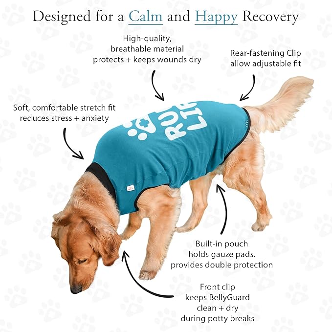 BellyGuard Dog Surgery Recovery Suit, Post-Op Dog Recovery Suit for Female Spay & Male Neuter, Comfy Onesie for Pets, Surgical Body Cover for Canine Healing Support