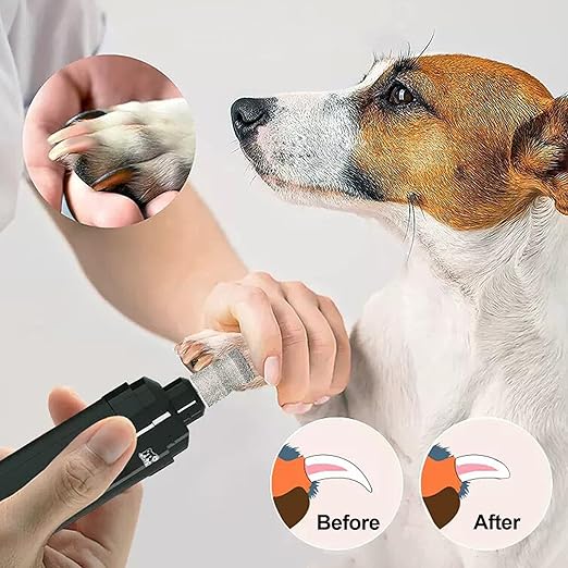 Diamond Dog Nail Grinder Bits - FOCSTOL Diamond Rotory Bit for Dogs&Pets, 2pcs 1/8'' Rotary Nail Grinder Bits for Animals Nail Care (Type E)