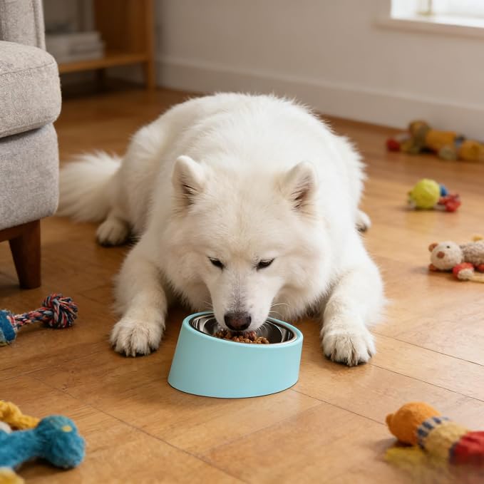 15° Tilted Anti‑Gulping Water Bowl for Medium Dogs (10-15kg, Blue, 350ml) – Non-Spill Stainless Steel Slow Water Feeder Dish, Vet Recommended Raised Pet Waterer