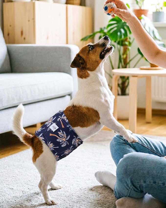 CuteBone Dog Diapers Male 4 Pack Puppy Wraps Reusable Doggie Belly Bands for Male Dogs Small Medium Large