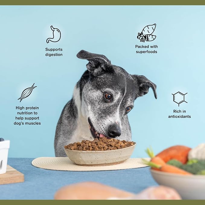 BADLANDS RANCH Superfood Complete Beef 24 oz., Super Gut Biotics, Freeze Dried raw Beef Liver Dog Treats 4 oz.