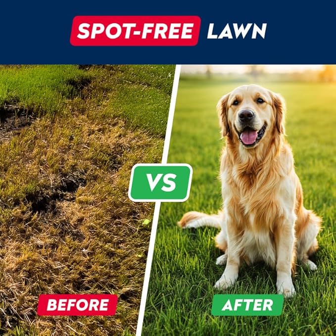 STRELLALAB Dog Pee Grass Chews - Urine Neutralizer for Green Grass Burn Spots - Grass Treatment for Pet Urine - Green Lawn Chews for Dogs with Probiotics - Made in USA (240Ct)