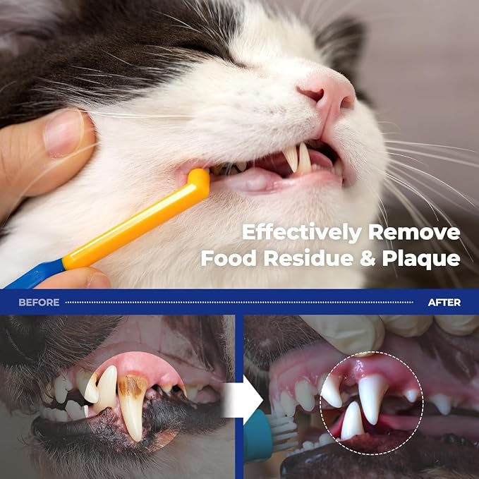 PETHROOM Dog & Cat Dental Kit for Deep Cleaning – Enzymatic Toothpaste & Precision Toothbrush (Rounded Head), Plaque & Tartar Control, EWG Verified, Fresh Breath, Apple Flavor, 2.1 oz