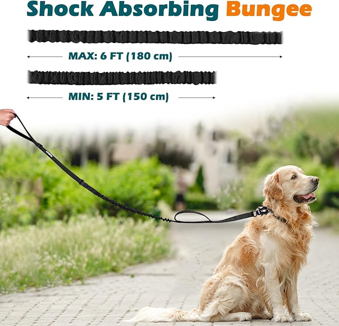 PetBonus Heavy Duty Tactical Dog Leash and 2-Pack Large Silicone Collapsible Dog Bowls