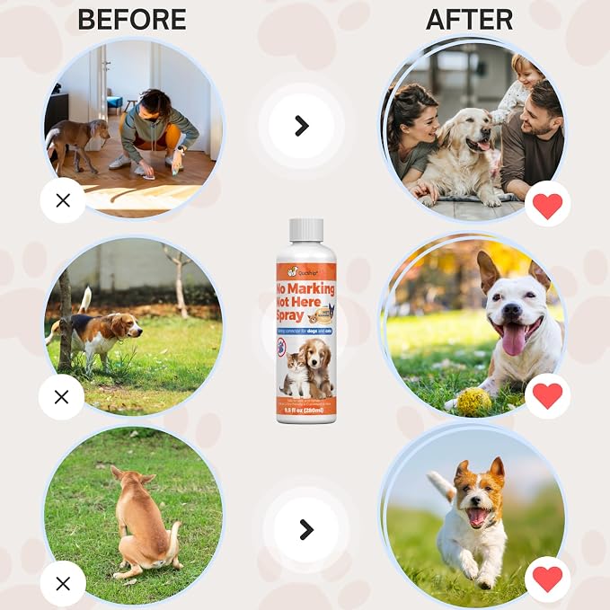 8oz Effective Solution for Training Dogs to Avoid Indoor Marking, Stop Dog Urinating in House with No More Peeing, Safe Don't Pee Here Dogs Marking Wrong