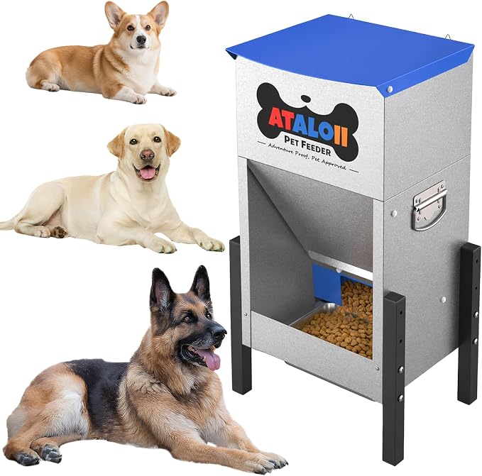 Automatic Dog Feeder 25 lbs — Height-Adjustable, Gravity Dog Feeder Dispenser with Magnetic Door, Large Capacity Self-Feeding Station for Small Medium Large Dogs, Indoor & Outdoor (Blue)