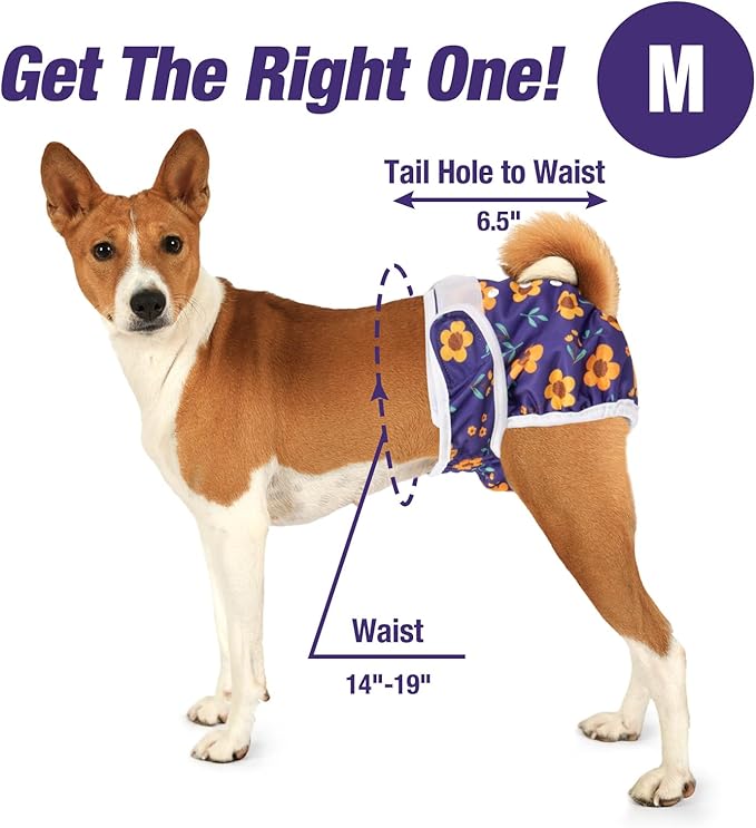 Pet Soft Washable Female Diapers (3 Pack) Female Dog Diapers, Comfort Reusable Doggy Diaper for Girl Dog in Period Heat (Cute Flower, M)
